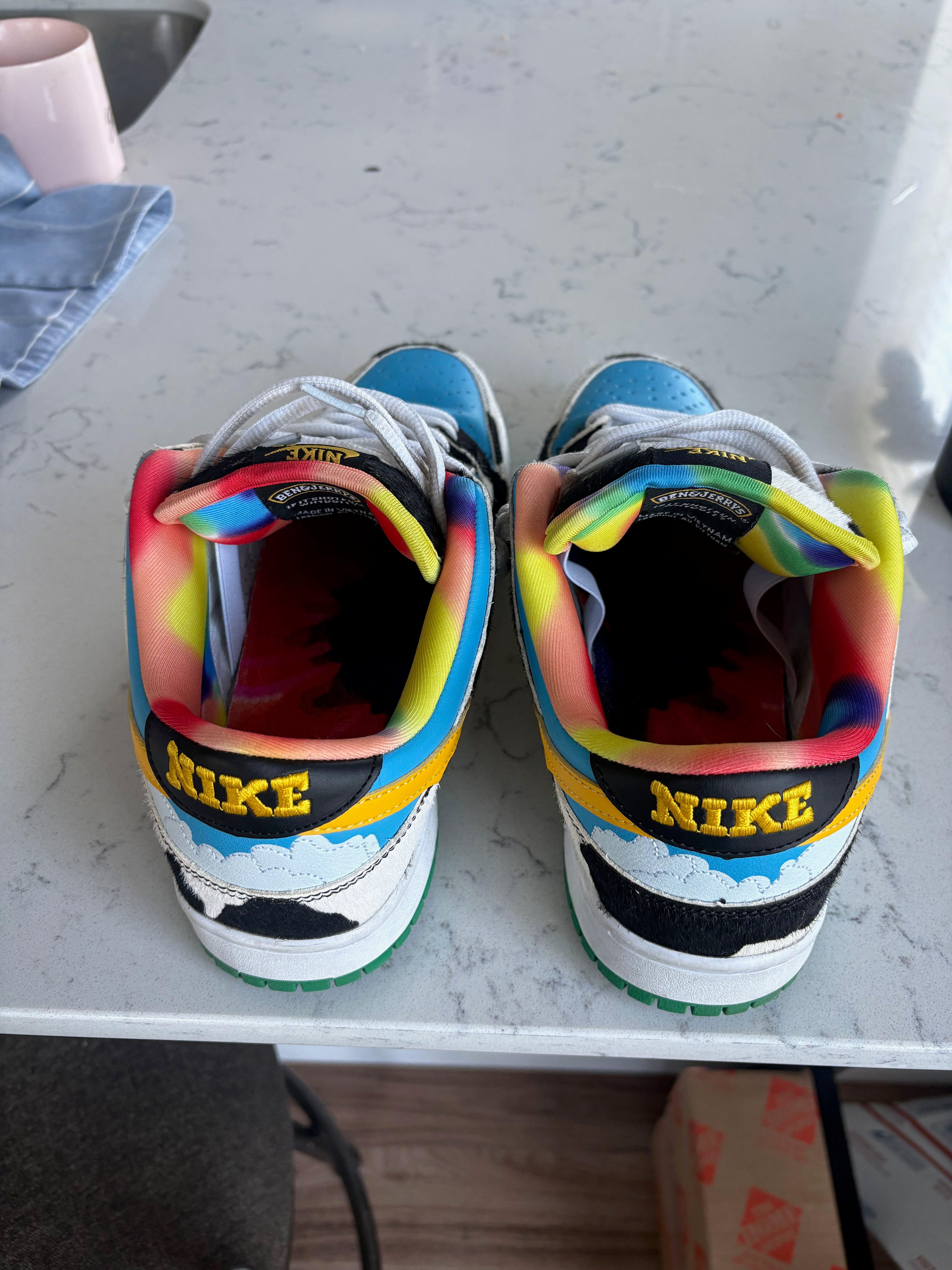 Nike SB Dunk Low "Chunky Dunky" – Size 10 (Used, With Box & Extra Laces)