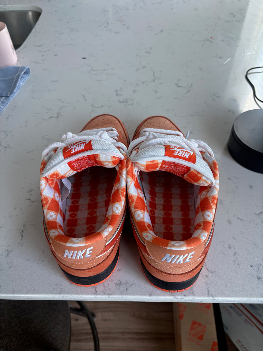 Nike SB Dunk Low "Orange Lobster" x Concepts – Size 10 (Used, With Box)