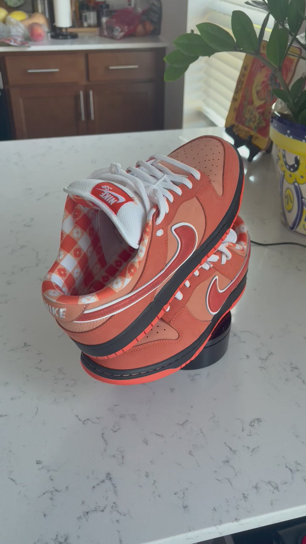 Nike SB Dunk Low "Orange Lobster" x Concepts – Size 10 (Used, With Box)