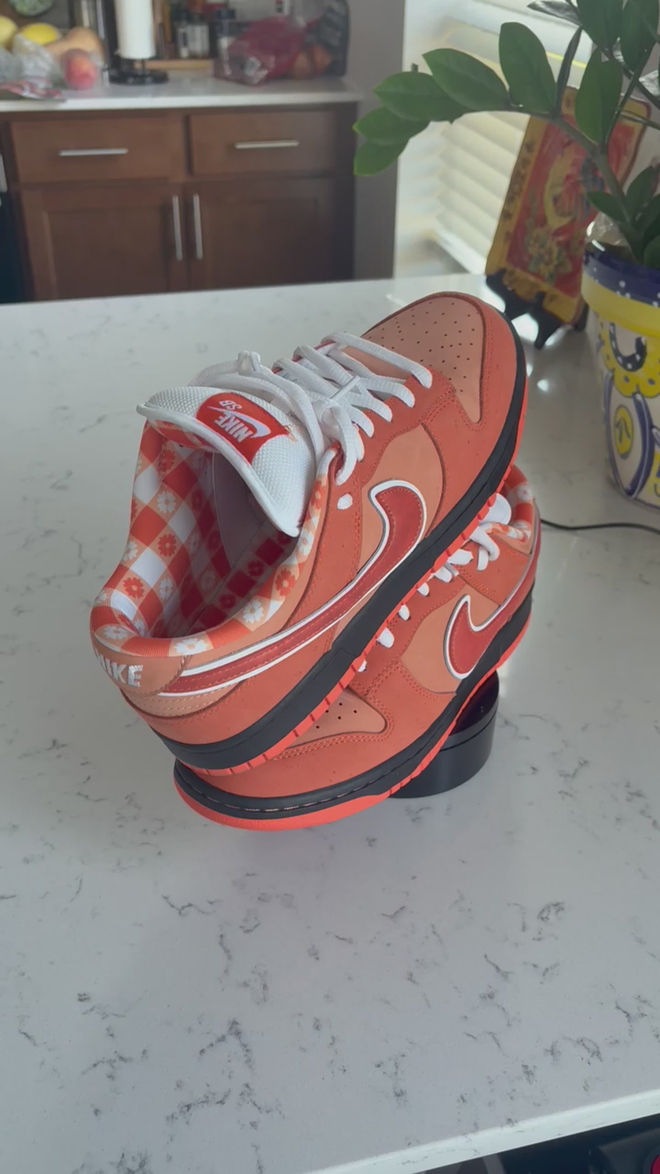 Nike SB Dunk Low "Orange Lobster" x Concepts – Size 10 (Used, With Box)
